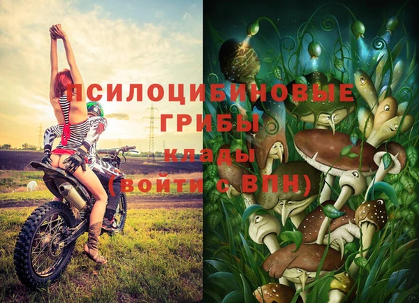 ГАЛЛЮЦИНОГЕННЫЕ ГРИБЫ Заволжье