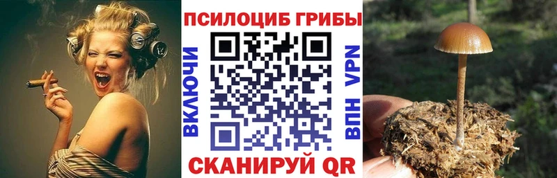 Псилоцибиновые грибы ЛСД  Пущино 
