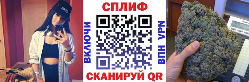Канабис планчик Пущино